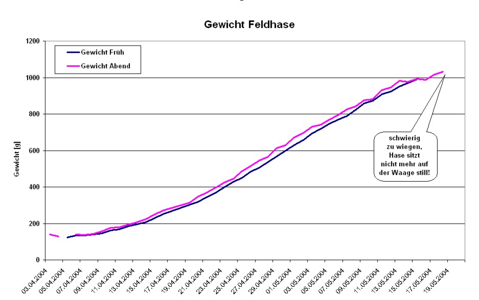 hasengewicht.JPG